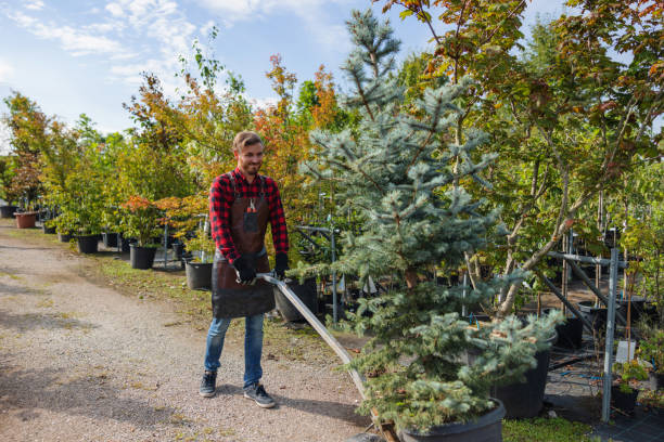  Penryn, CA Tree Care Services Pros